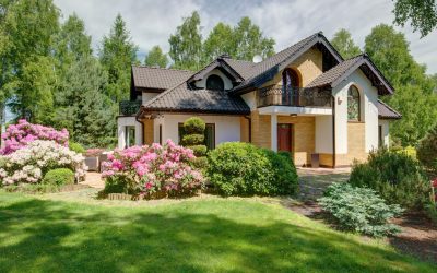 La Folie des Maisons Miniatures : Quand « Petit » Devient Synonyme de Luxe