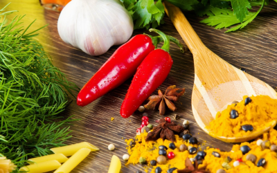 Gastronomie durable, nouveau standard culinaire transformant nos tables et consciences