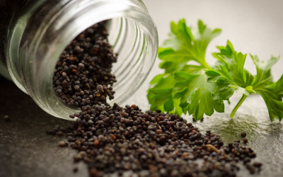 Terroir et technologie fusionnent: la gastronomie durable conquiert nos assiettes